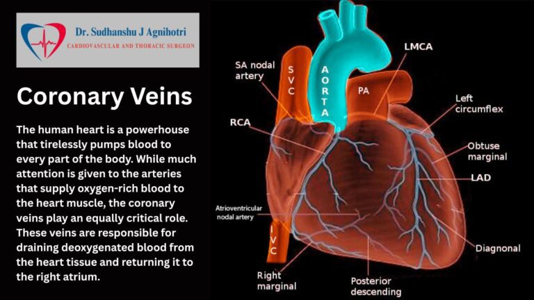 कोरोनरी नसें क्या होती हैं और (Cardiologist in Indore) ये आपके दिल के लिए क्यों जरूरी हैं?